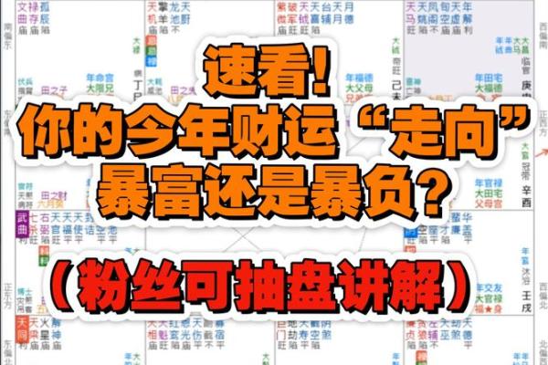 紫薇斗数怎么财运