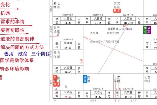 紫微斗数实战 紫微斗数实战案例？