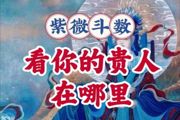 紫薇斗数看官司输赢