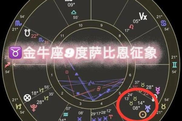 萨比恩看太阳星座吗